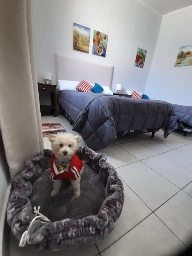 Departamento Céntrico 3 +1 Apartamento *